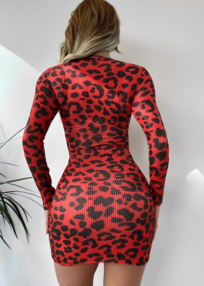Leopard Print Mini Dress
