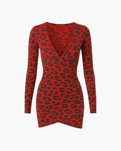 Leopard Print Mini Dress